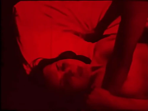 The Gorgeous World Of Vintage Porn