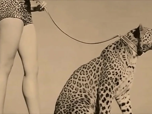 Dark Lantern Relaxation introduces 'Vintage Nature Girls'