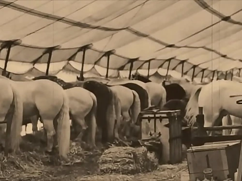 Dark Lantern Relaxation Presents 'The Dragonfly' Gig 3 Pt.1