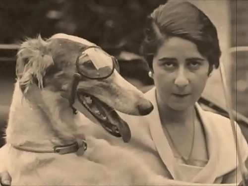 Dark Lantern Refreshment presents 'Vintage Nature Girls'