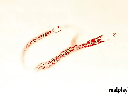 Badass honies snowboarding while all naked