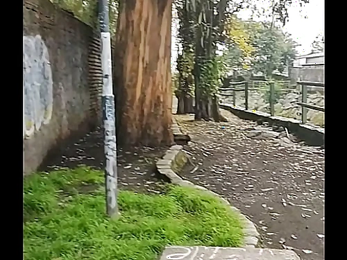 Las toscas Chillan, mamon y paja - mu&ntilde;eca betty - bebecito endemoniado